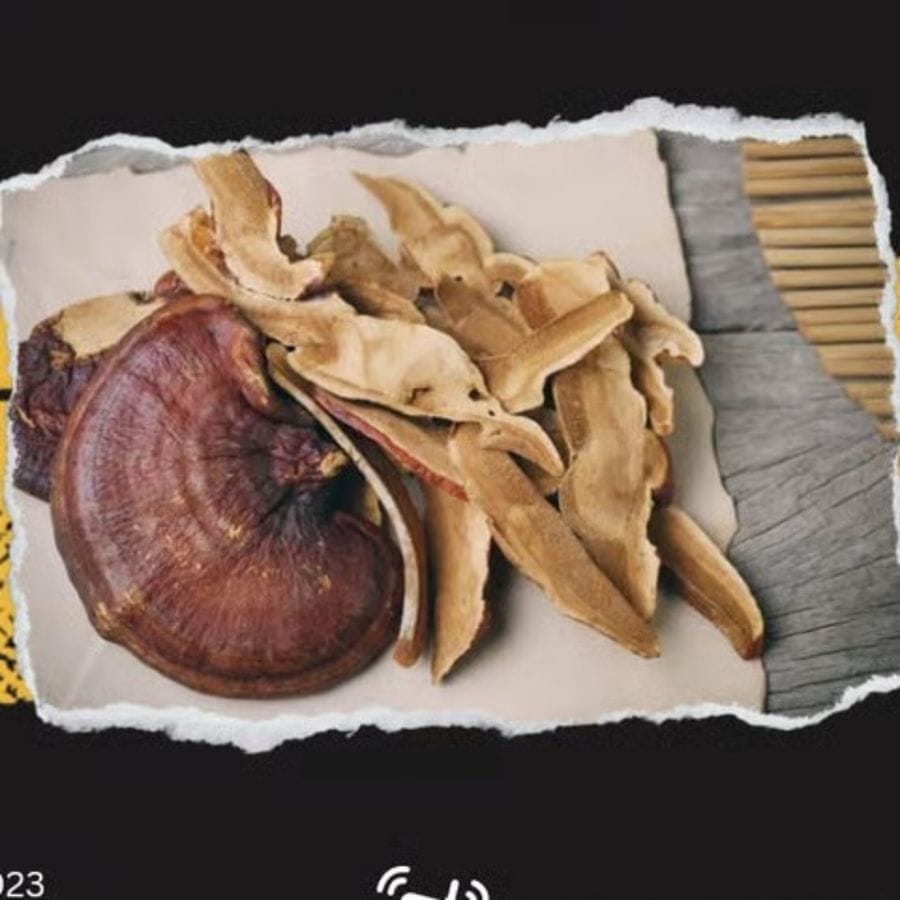 Dry Ganoderma Mushroom - 50 gm