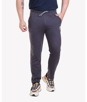 Bombay Velvet - Grey Cotton Blend Men's Trackpants ( Pack of 1 )