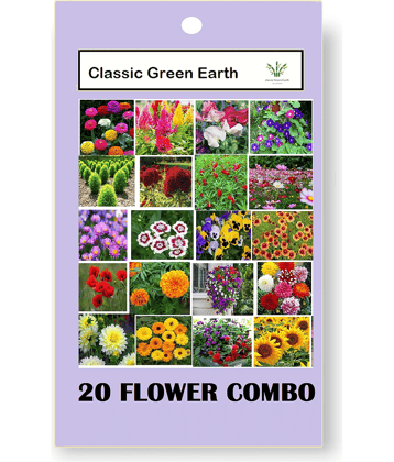 CLASSIC GREEN EARTH - Flower Seeds ( 20 FLOWER COMBO 1500 SEEDS FOR HOME GARDENING )