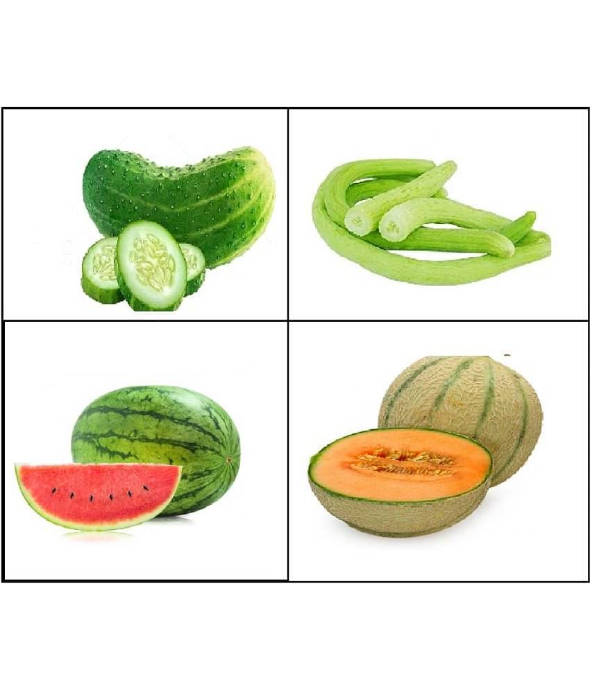 CUCUMBER , KAKRI , MUSKMELON , WATERMELON SEEDS COMBO 10-10 SEEDS OF EACH 1 TOTAL 40 SEEDS PACK WITH MANUAL