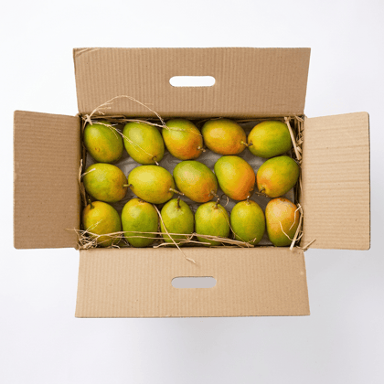 24 Nos. Alphonso Hapus Mangoes - Ripened Box