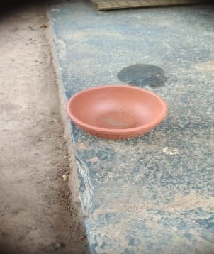 Bowl