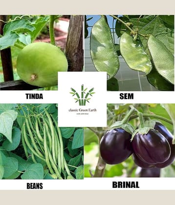 CLASSIC GREEN EARTH - Vegetable Seeds ( tinda shem bean brinjal combo 50 seeds )