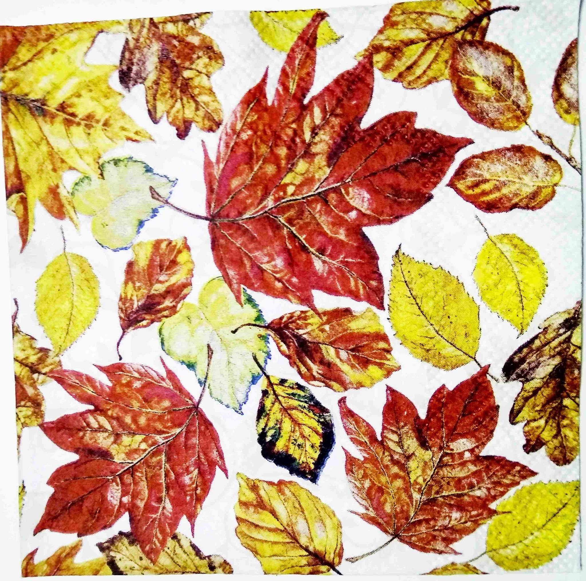 Decoupage Napkin / Tissue papers - 25cm*25cm - GT3195