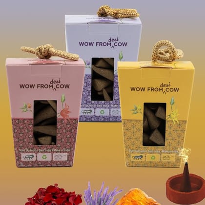 Nandi Panchgavya 100 Percent Cow Dung Rose, Amber, Lavender Dhoop Cones (150 Pcs)