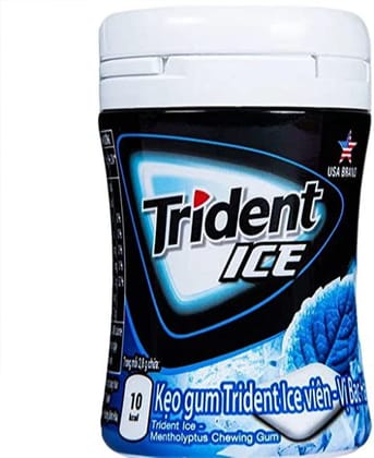 Trident Ice Chewing Gum Mentholyptus Mint, 56 gm