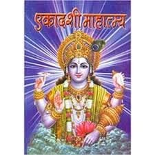 Ekadashi mahatam Katha (एकादशी महातम कथा:) [Paperback] Mahamaya publication– 1 January 2020 - Pooja Needs | Buy online on ZillyBuy