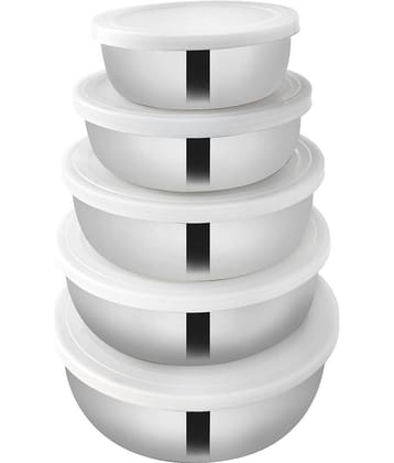 BOWLMAN - Silver Steel Food Container ( Pack of 5 )