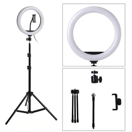 Ring Fill Light 10 Size (HX-260)