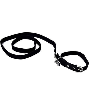 Tame Love - Red Dog Combo (Medium)