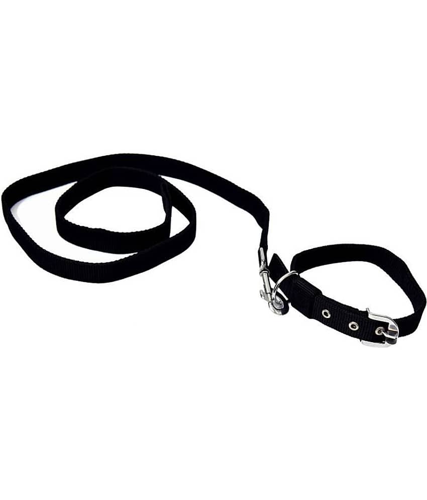 Tame Love - Red Dog Combo (Medium)
