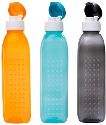 G-Pet Orchid Bottle Set  (Set Of 3)(Grey,Teal & Orange) Multicolour 1000 mL Polyproplene Fridge Bottle set of 3