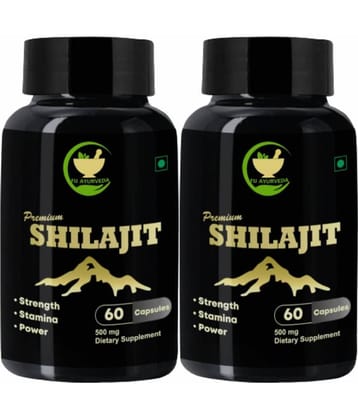 FIJ AYURVEDA Premium Shilajit Extract Capsule Supports Strength & Stamina - 500mg 60 Capsules (Pack of 2)