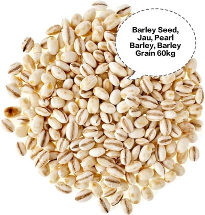 Barley Seed, Jau, Pearl Barley, Barley Grain, Jau Dana 60kg