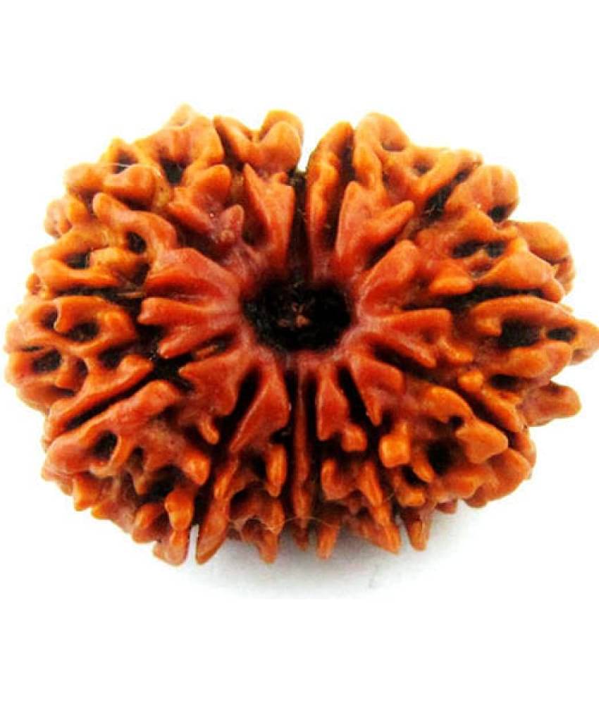 DvR ClicK Rudraksha Pendant ( Pack of 1 )