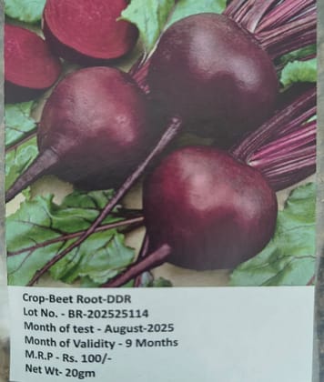 NSC Beetroot-DDR, 20gm