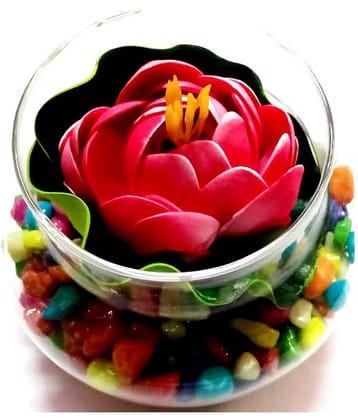 Green plant indoor Lotus Red Flowers With Pot - Pack of 1
