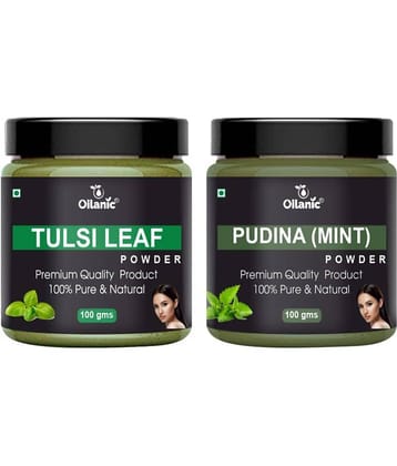 Oilanic 100% Pure Tulsi Powder & Pudina Powder For Skincare Hair Mask 200 g Pack of 2