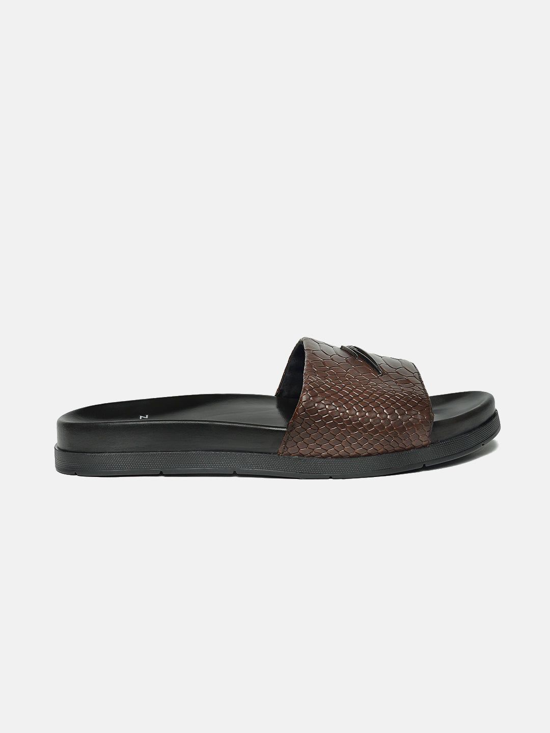 BRONTE PYTHON-6
