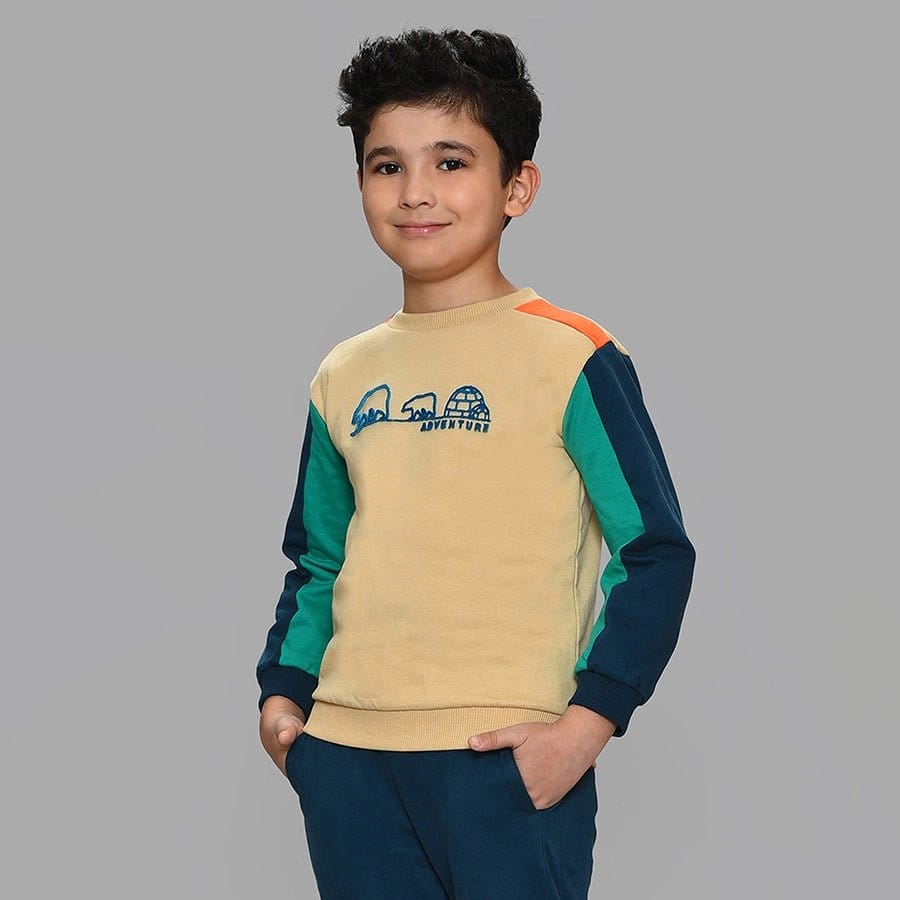1Pk Cotton Fleece Sweatshirt-2-3 Y / Beige