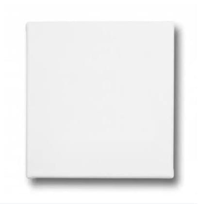 Canvas Frame 8" *10" Combo of 2 Pieces