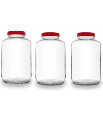 skwaion Glass Red Food Container ( Set of 3 )