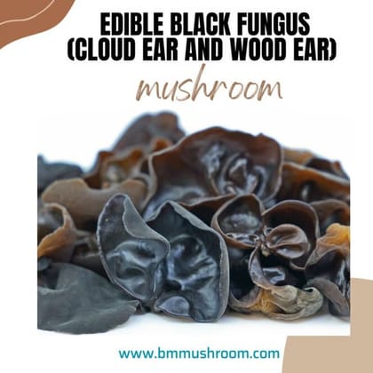 Dry Edible Black Fungus (Cloud Ear and Wood Ear Mushrooms) 50 gm - 50 gm