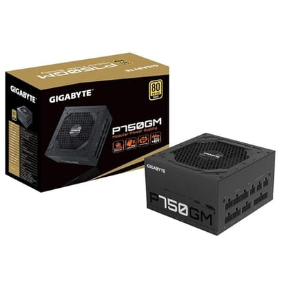 GIGABYTE P750GM 80 Plus Gold 750W Modular Power Supply