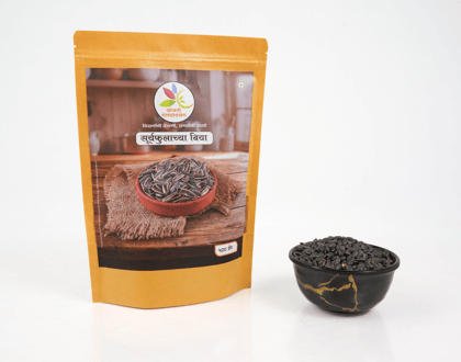 Premium Sunflower Seeds | Natural & Nutritious Seeds