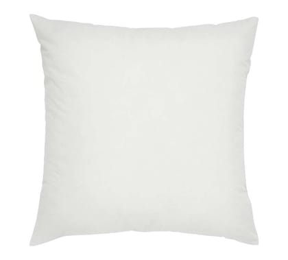 Cushion Filler - 40X40 cm
