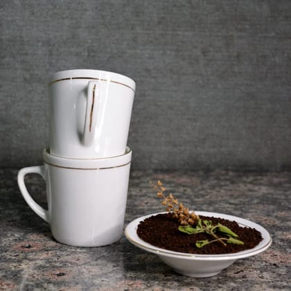 Oasis Coffee and Tea Mug - RS2GL | 180 ML | White | Set of 6 Pcs