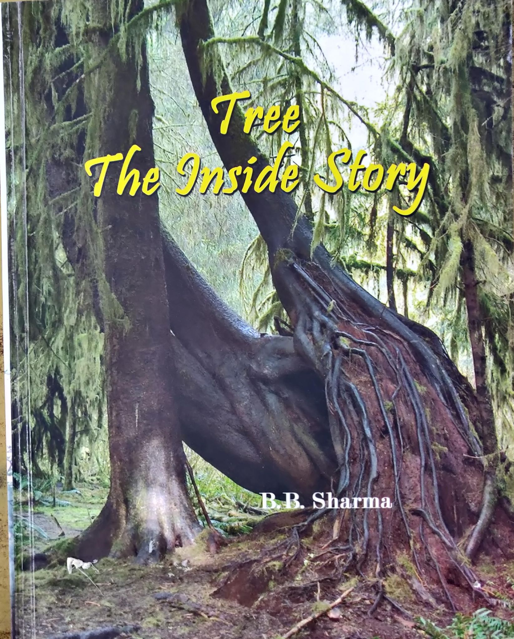 PUBLICATIONS DIVISION Tree The Inside Story ( English ) [Perfect Paperback] [Dec 31, 2021] B. B. SHARMA