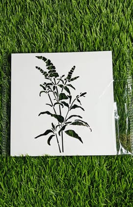 crop - 6*6 inch
