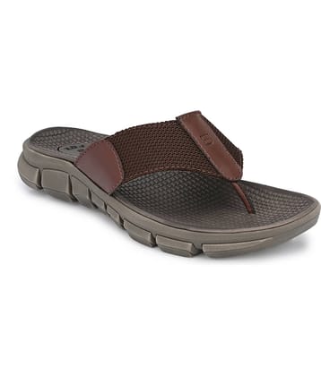 Big Fox - Brown PU Daily Slipper