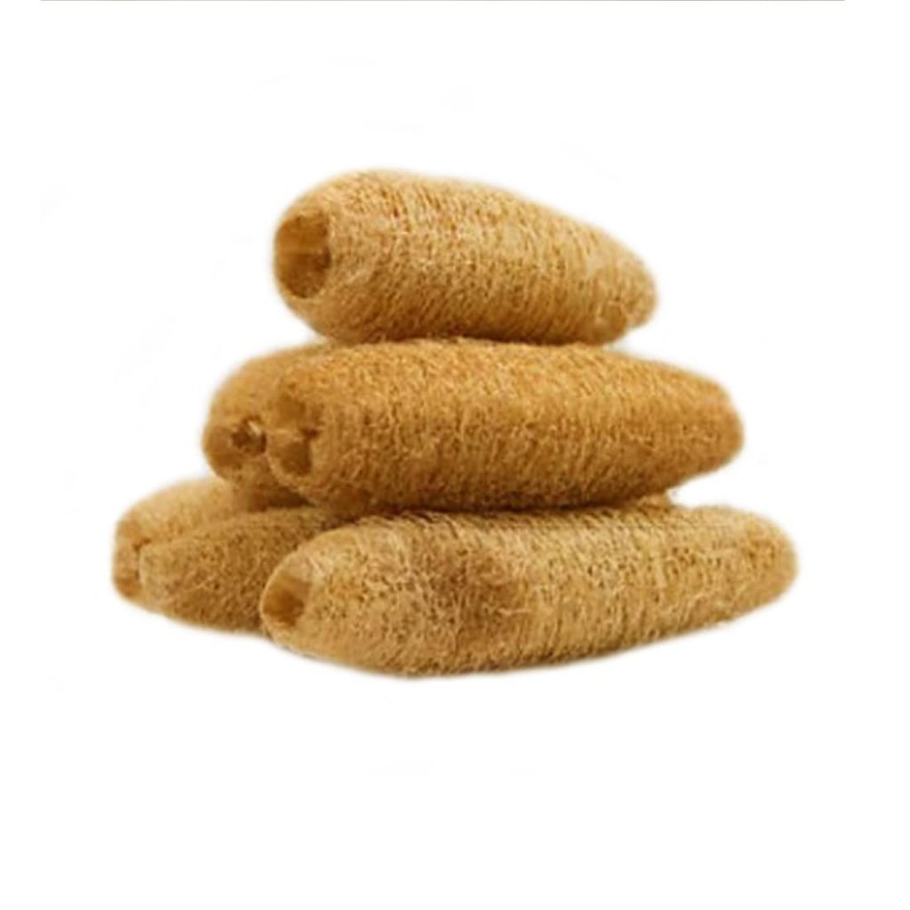 ATNAYAJ Unisex Organic Loufah/Loofah Sponge Body Scrubber, Chemical Free, Eco Friendly (Pack of 5) - Pooja Needs | Buy online on ZillyBuy