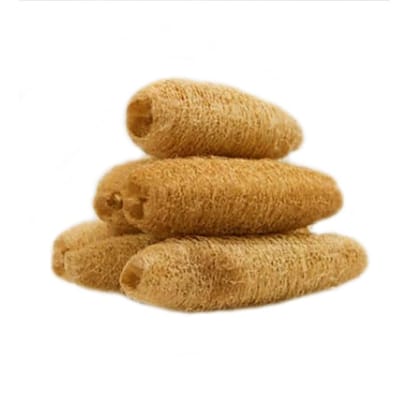 ATNAYAJ Unisex Organic Loufah/Loofah Sponge Body Scrubber, Chemical Free, Eco Friendly (Pack of 5) ATNAYAJ Unisex Organic Loufah/Loofah Sponge Body Scrubber, Chemical Free, Eco Friendly (Pack of 5)