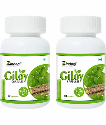 Zindagi Pure Giloy Capsule 120 Gm