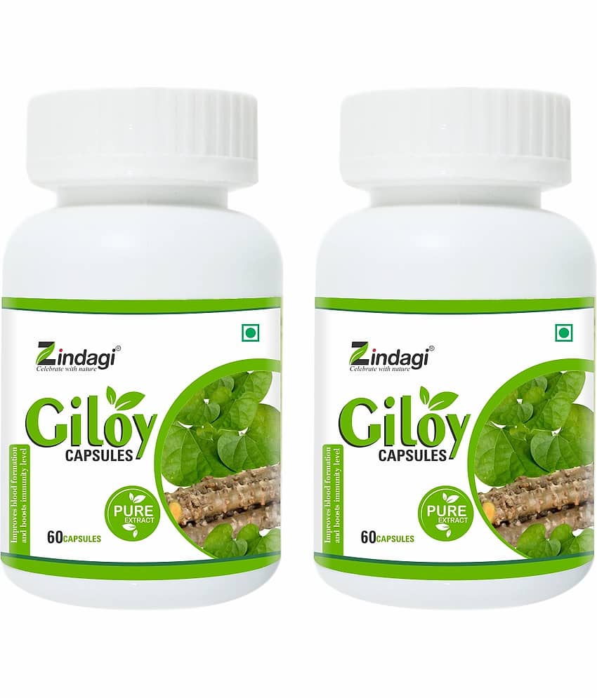 Zindagi Pure Giloy Capsule 120 Gm