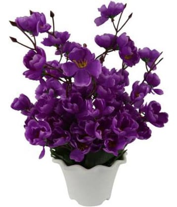 Green plant indoor Orchids Purple Flowers With Pot - Pack of 1