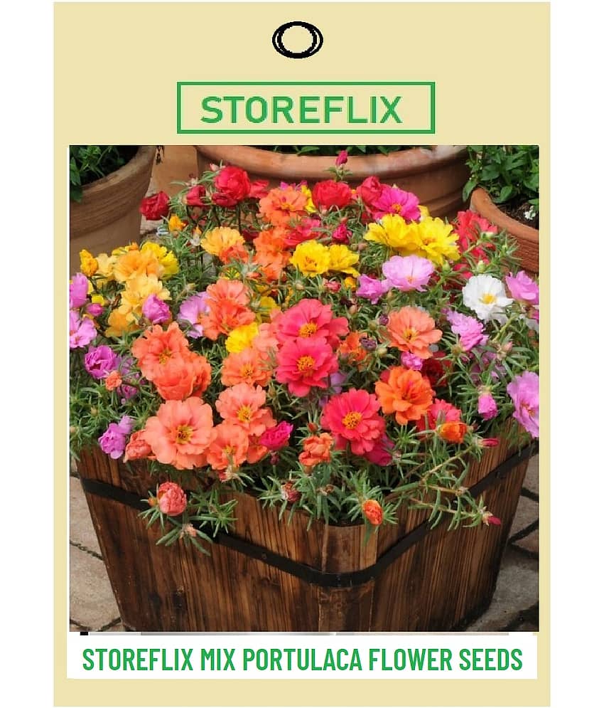 STOREFLIX - Portulaca Flower ( 100 Seeds )
