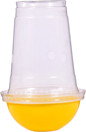 IPM Fly Ribbon  by Palvi industries