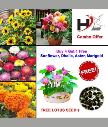 HL-COMBO-Sunflower, Dhalia, Aster, Marigold and FREE Lotus Seed's
