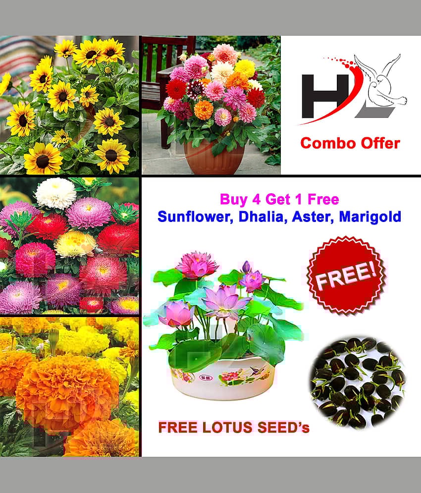 HL-COMBO-Sunflower, Dhalia, Aster, Marigold and FREE Lotus Seed's