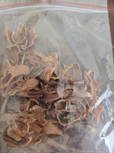 Anugrahya Global Ventures Organic Javitri (50g) | Premium Whole Mace Spice | Aromatic & Flavourful for Biryani, Curries & Desserts