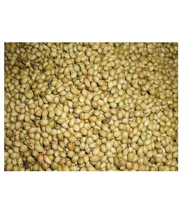 UPPAL SONS DHANIA 500 gm