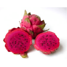 gragon fruit gragon fruit
