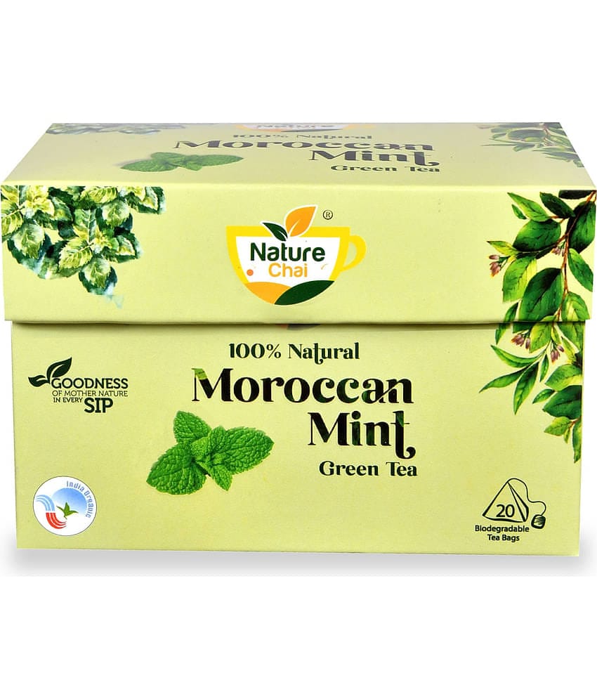 NATURE CHAI Mint Tea Bags 100 gm