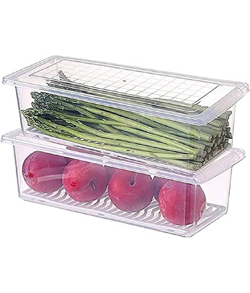 Analog Kitchenware Veg./Fruit/Meat/Fish Plastic Transparent Food Container ( Set of 2 )