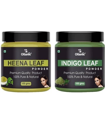 Oilanic 100% Pure Heena Leaf Powder & Indigo Powder For Skincare Hair Mask 200 g Pack of 2