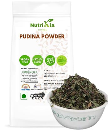 Nutrixia Food Pudina Powder-mint powder -mint leaves  Powder 480 gm